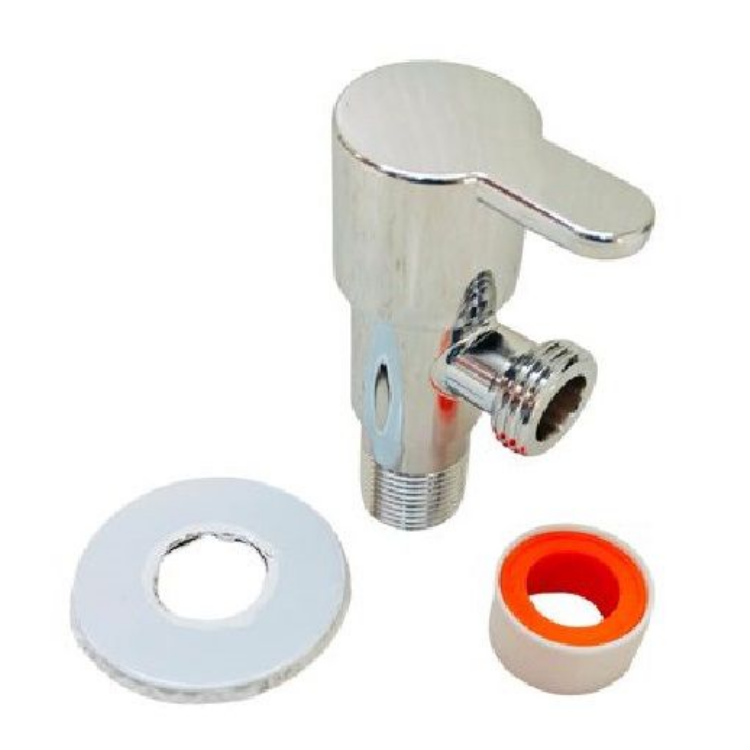 Angle Valve SS Fusion with Flange & Teflon